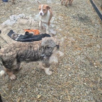 621732505 871961215816051 7954436145294019838 n