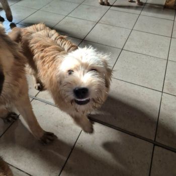 622069501 729961273270611 4872574518539978141 n