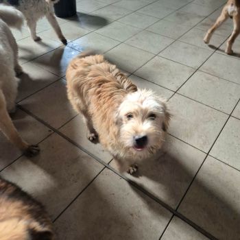 622543069 3926163614194522 3134631921386611435 n