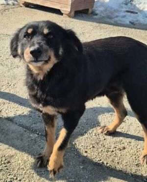 625974336 912585641632914 4632886222978347946 n