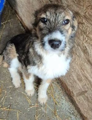 626330081 3030359310491387 1301764776916517506 n