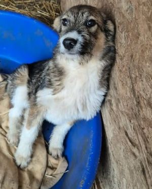 628262131 1268948705093699 3746933066975041692 n