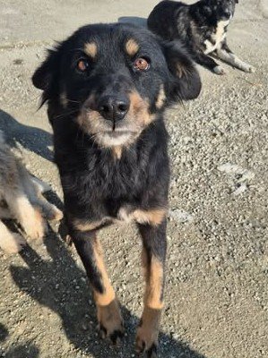 636632991 1463005841833598 6573551940545524537 n