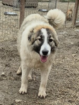 636750593 2119041375522056 2021572592003911169 n