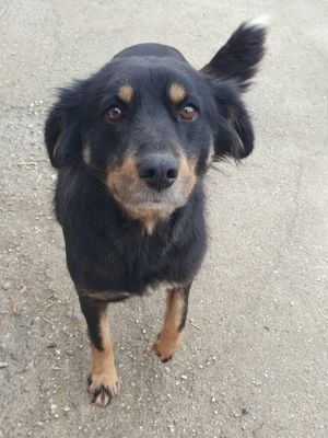 638883912 2061584684687255 198115729378385543 n