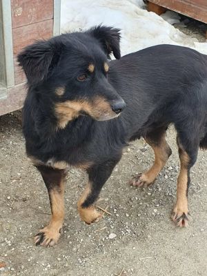 639618943 1505956371047357 1801939028909517121 n