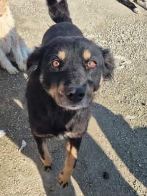 641532743 790764270156563 1108293420816450317 n