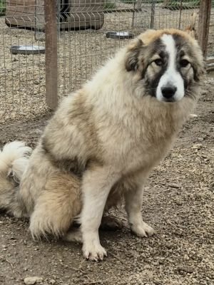 656690759 974647241755447 168320515062662707 n