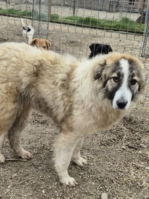 660497449 2596821580714929 3554936264895744173 n