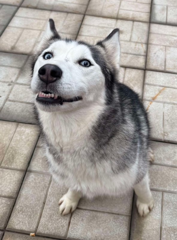 7fb3a3c9d626846f4822588f59faac51