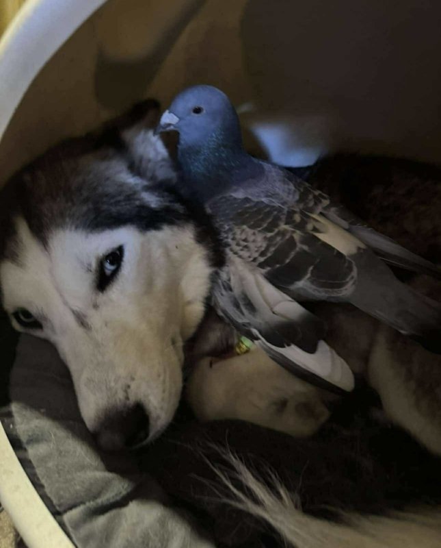 96ffc104745b5ac2542387c5c5750699