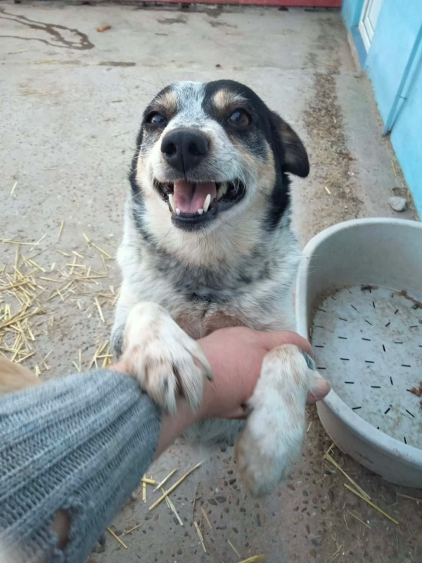 WhatsApp Image 2025 12 19 at 21.51.15