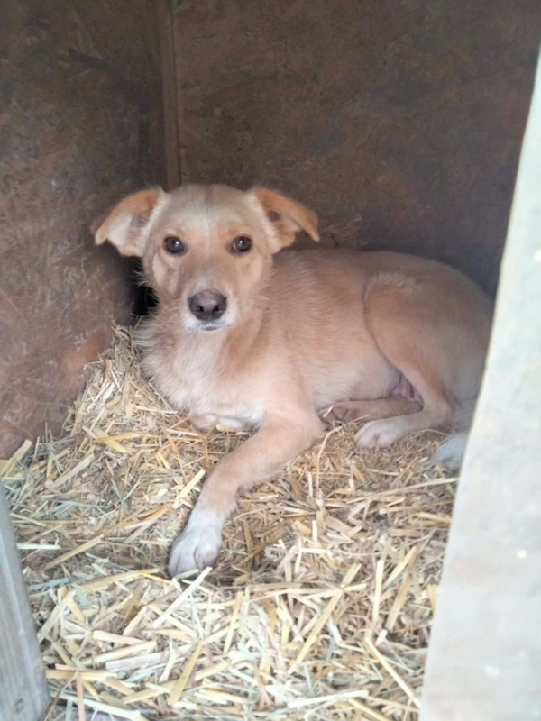 WhatsApp Image 2025 12 19 at 21.51.17 (1)