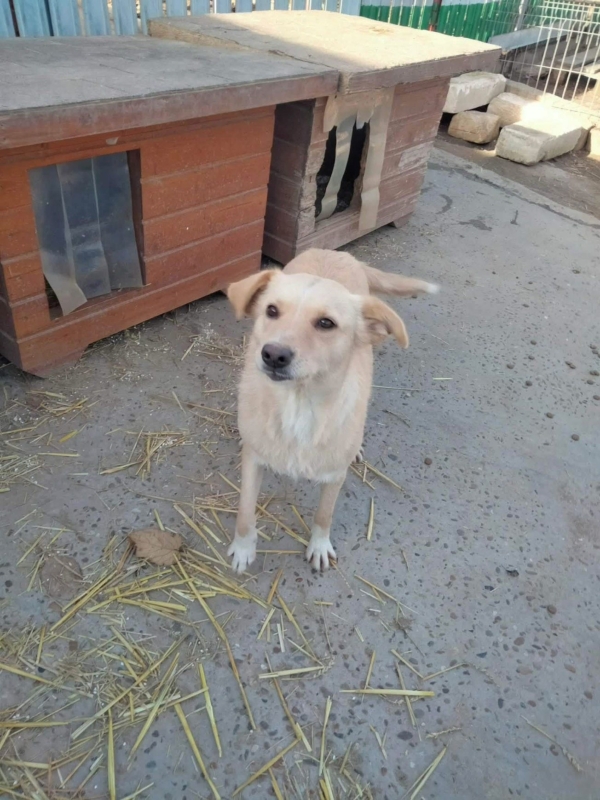 WhatsApp Image 2025 12 19 at 21.51.17 (2)