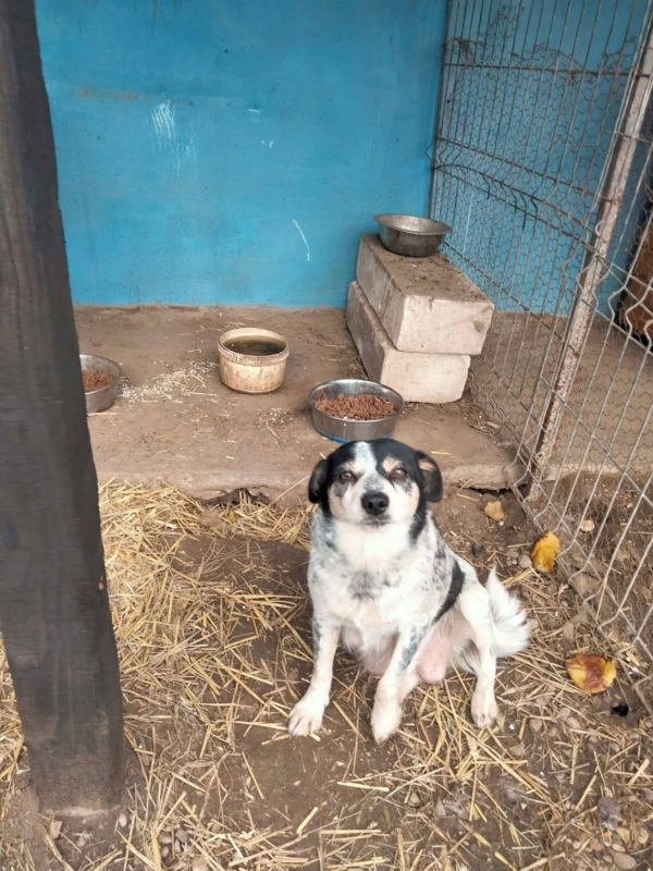 WhatsApp Image 2025 12 19 at 21.51.17 (2)