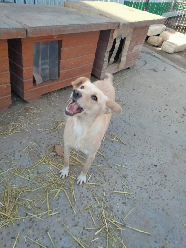 WhatsApp Image 2025 12 19 at 21.51.17 (3)