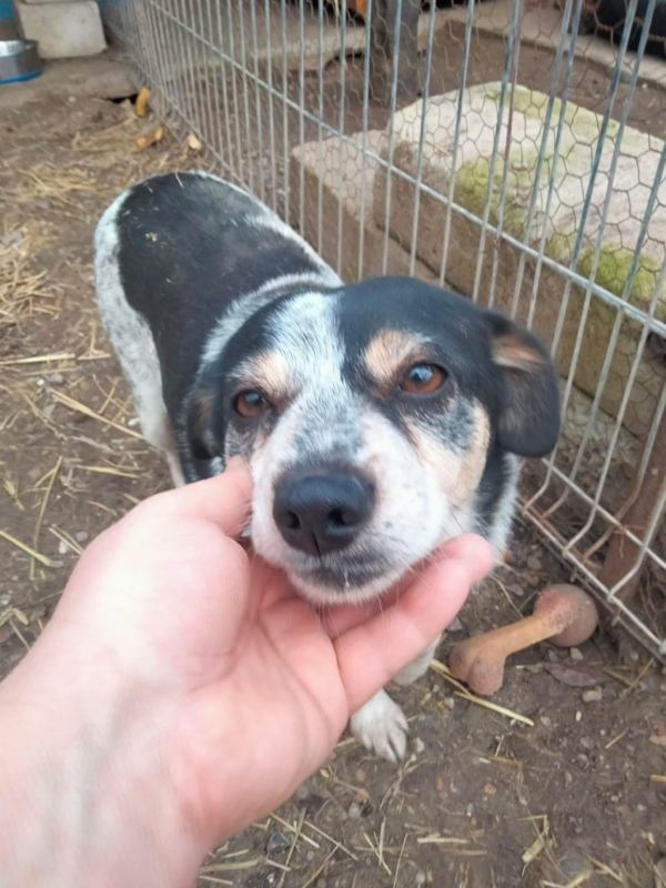 WhatsApp Image 2025 12 19 at 21.51.17 (3)