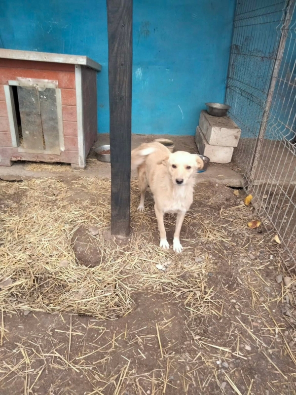 WhatsApp Image 2025 12 19 at 21.51.17 (4)