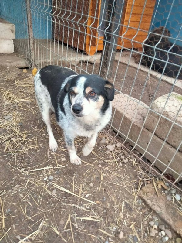 WhatsApp Image 2025 12 19 at 21.51.17 (4)