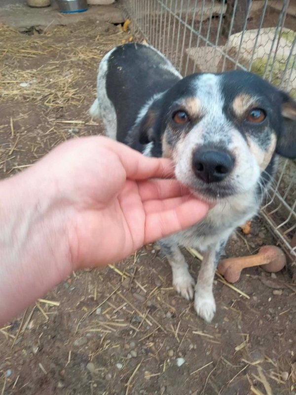 WhatsApp Image 2025 12 19 at 21.51.17 (5)