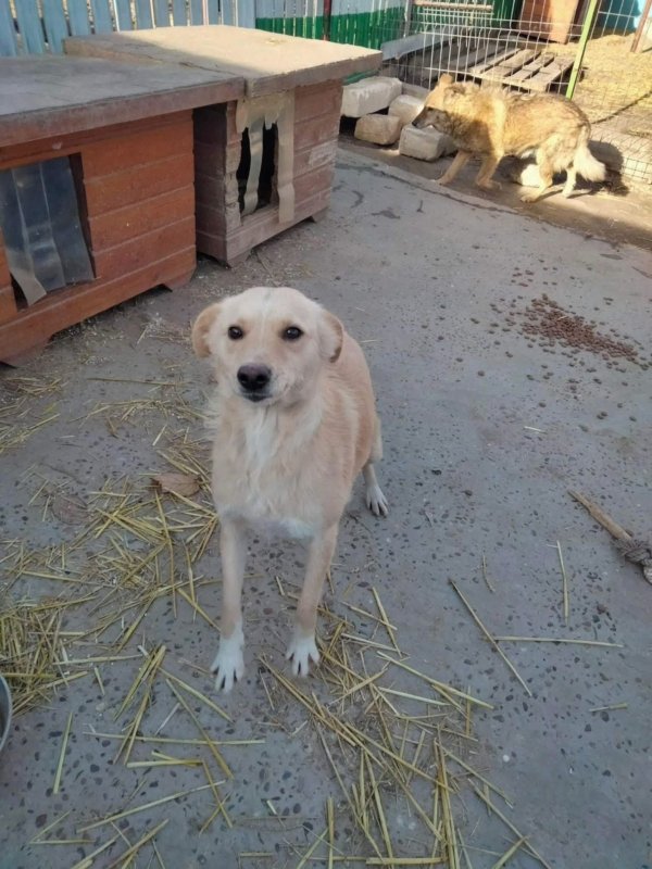 WhatsApp Image 2025 12 19 at 21.51.17