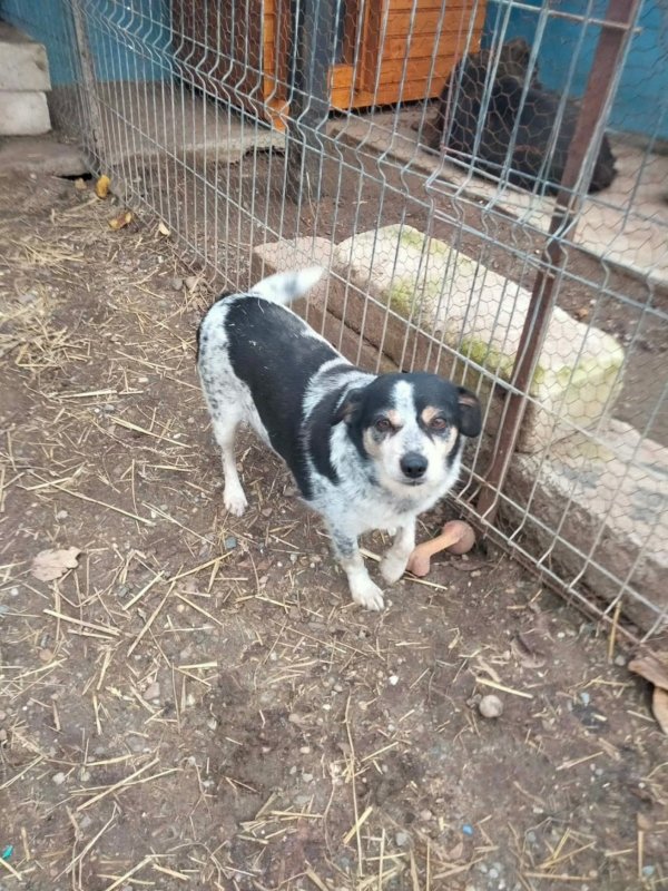 WhatsApp Image 2025 12 19 at 21.51.17