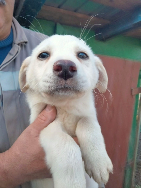 WhatsApp Image 2025 12 22 at 13.23.49 (1)