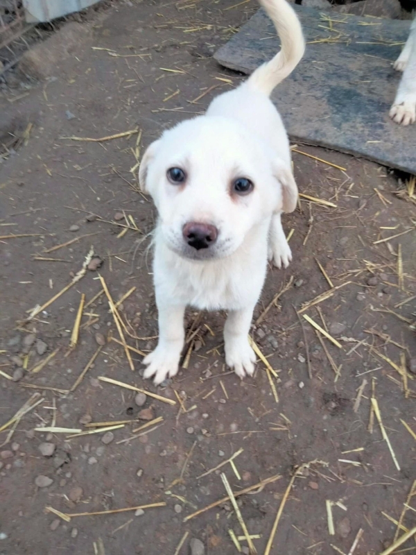 WhatsApp Image 2025 12 22 at 13.23.49 (2)