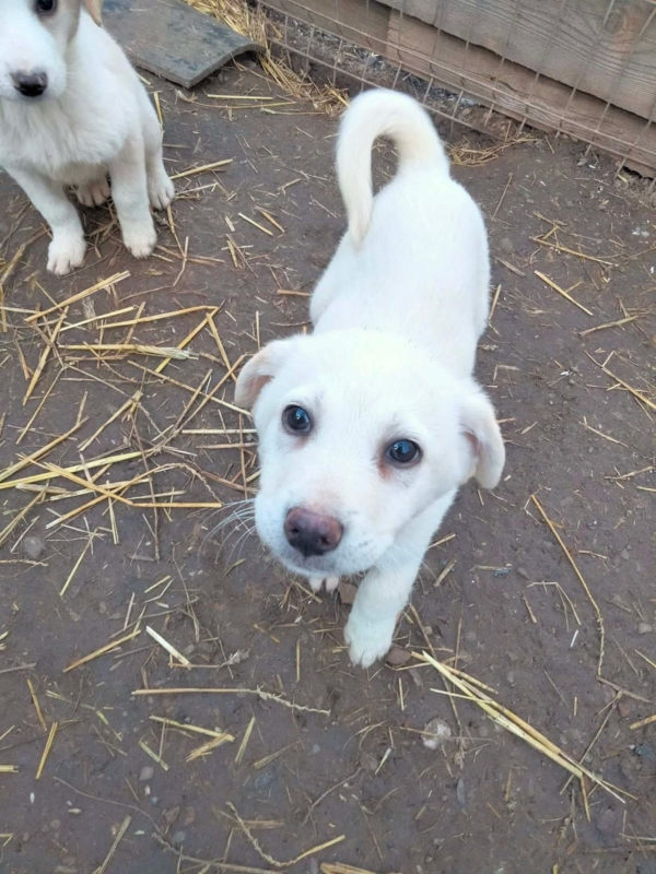 WhatsApp Image 2025 12 22 at 13.23.49 (3)