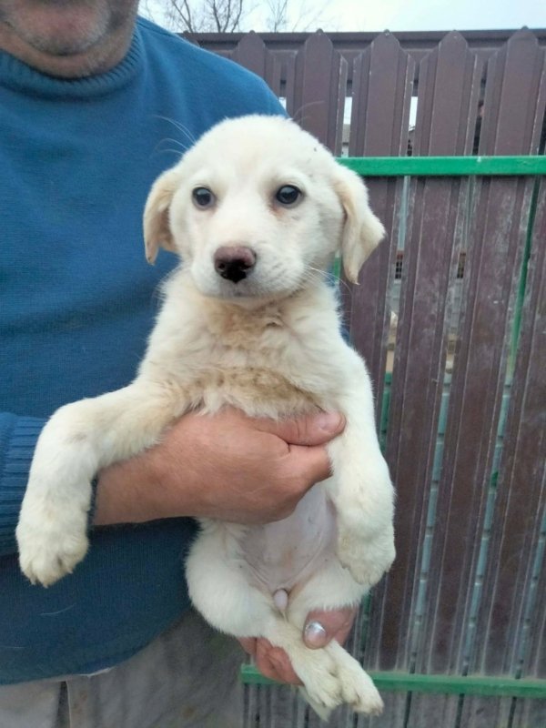 WhatsApp Image 2025 12 22 at 13.23.49 (5)