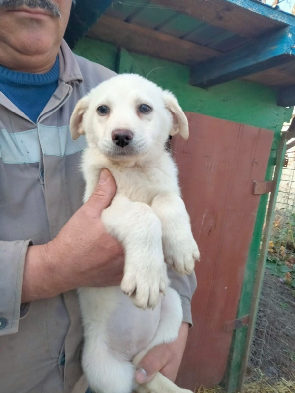 WhatsApp Image 2025 12 22 at 13.23.49 (6)