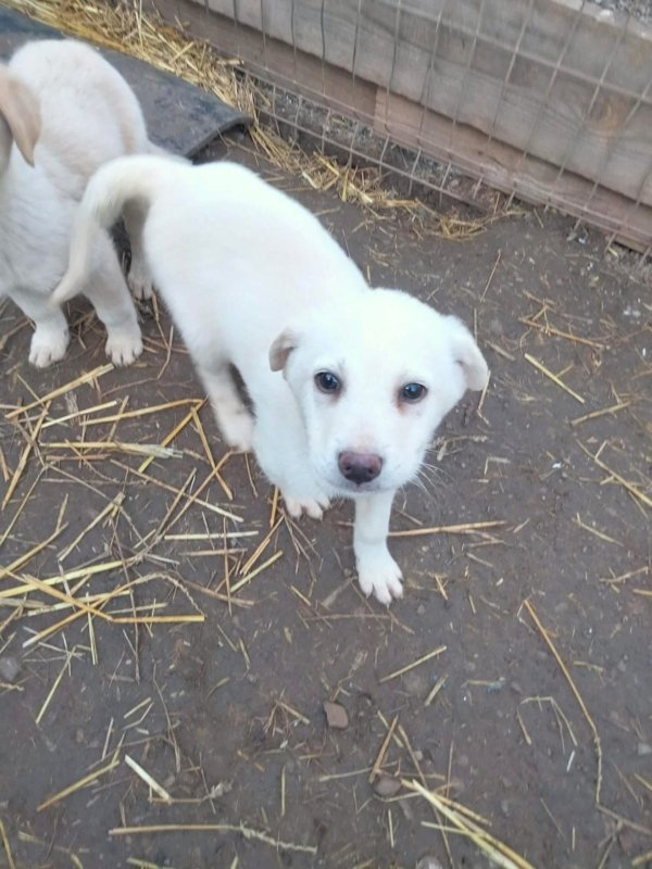 WhatsApp Image 2025 12 22 at 13.23.49