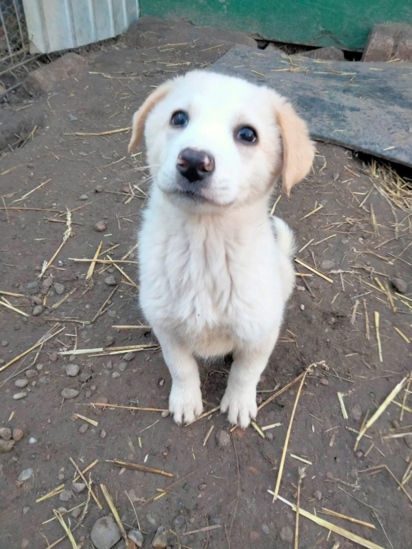 WhatsApp Image 2025 12 22 at 13.24.02