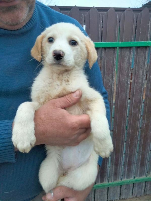 WhatsApp Image 2025 12 22 at 13.24.03 (1)