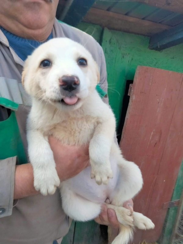 WhatsApp Image 2025 12 22 at 13.24.03 (2)