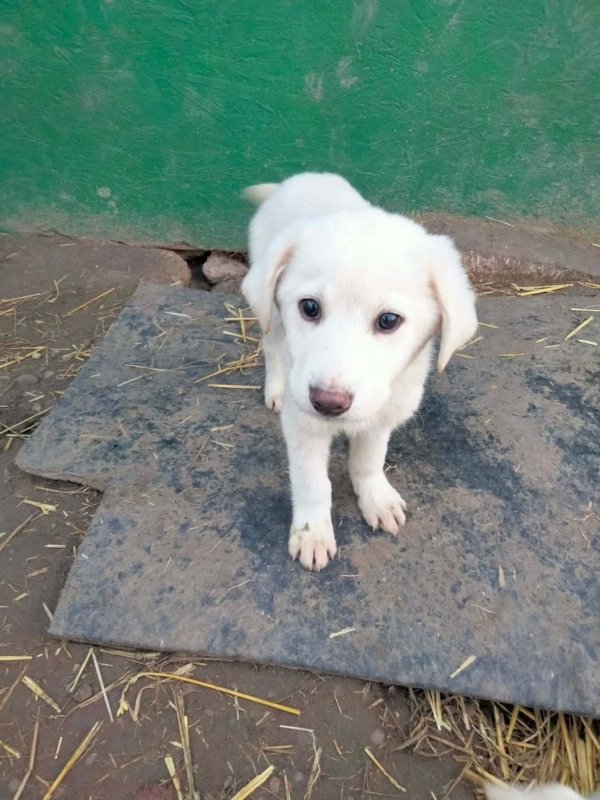 WhatsApp Image 2025 12 22 at 13.24.12 (1)