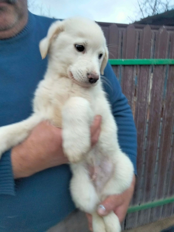 WhatsApp Image 2025 12 22 at 13.24.12 (2)