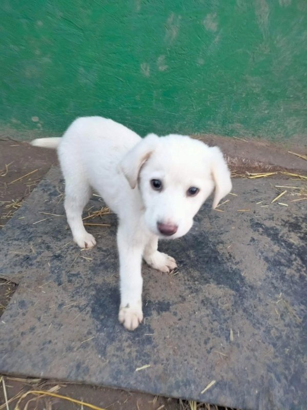 WhatsApp Image 2025 12 22 at 13.24.12 (5)