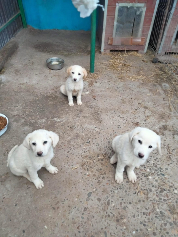 WhatsApp Image 2025 12 22 at 13.24.12