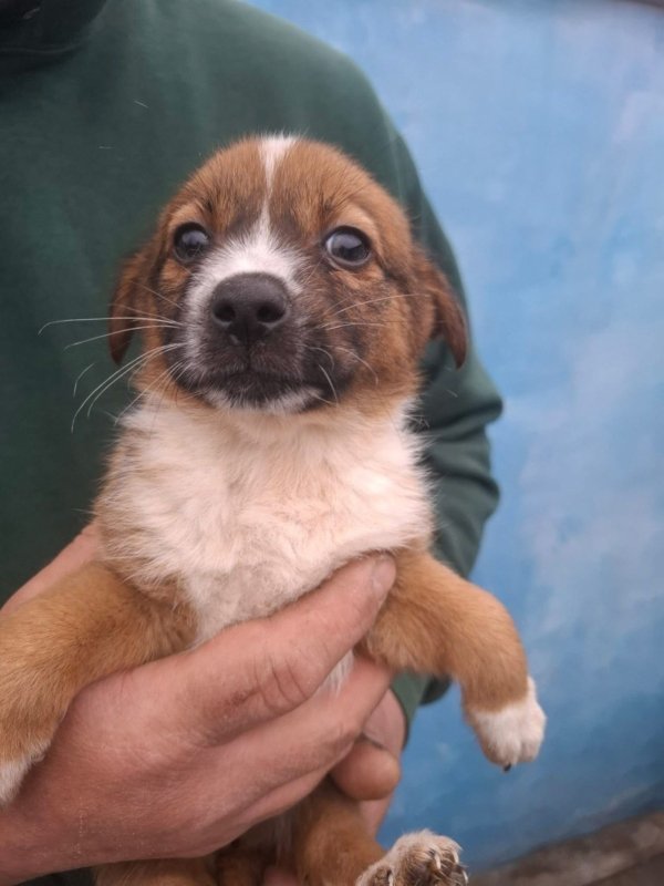 WhatsApp Image 2025 12 22 at 13.43.47 (1)