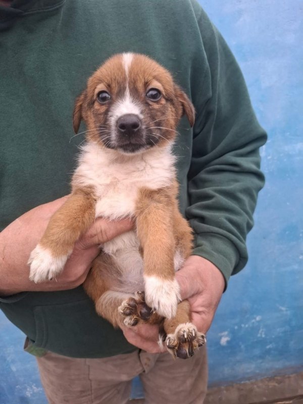 WhatsApp Image 2025 12 22 at 13.43.47 (2)