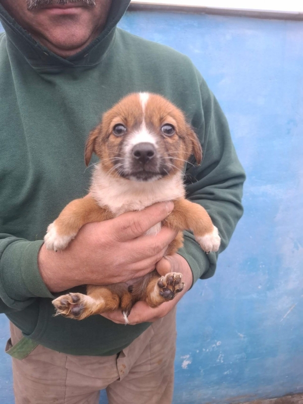 WhatsApp Image 2025 12 22 at 13.43.47 (3)