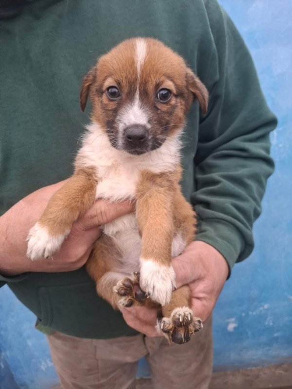 WhatsApp Image 2025 12 22 at 13.43.47