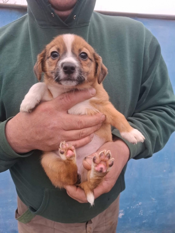 WhatsApp Image 2025 12 22 at 13.43.47