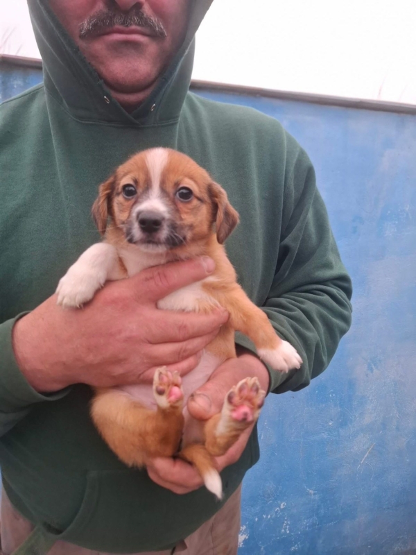 WhatsApp Image 2025 12 22 at 13.43.48 (1)