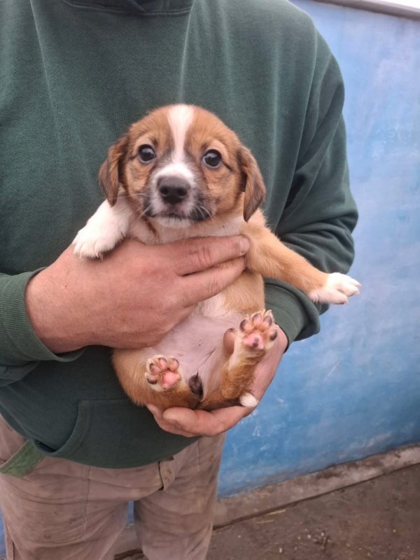 WhatsApp Image 2025 12 22 at 13.43.48 (2)