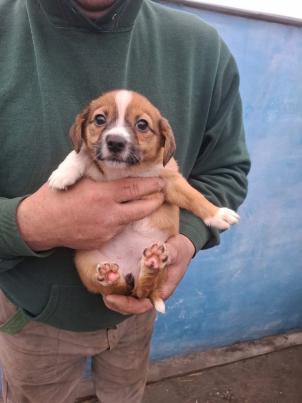 WhatsApp Image 2025 12 22 at 13.43.48 (3)