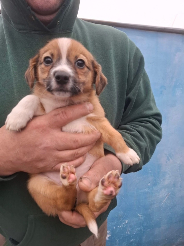 WhatsApp Image 2025 12 22 at 13.43.48