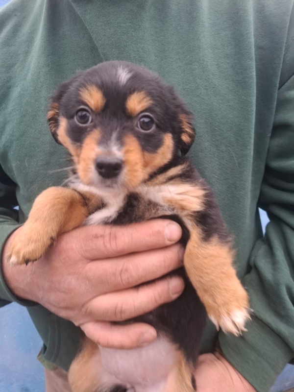 WhatsApp Image 2025 12 22 at 13.43.49 (1)