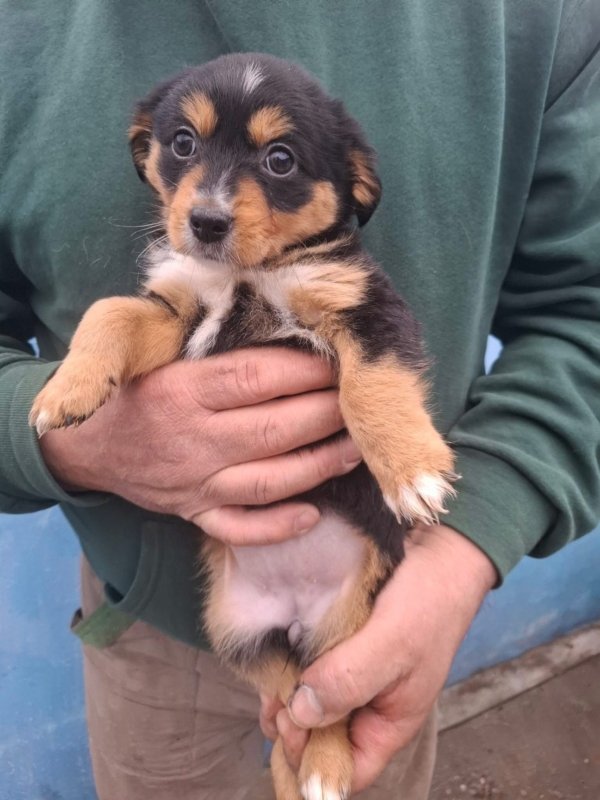 WhatsApp Image 2025 12 22 at 13.43.49 (2)